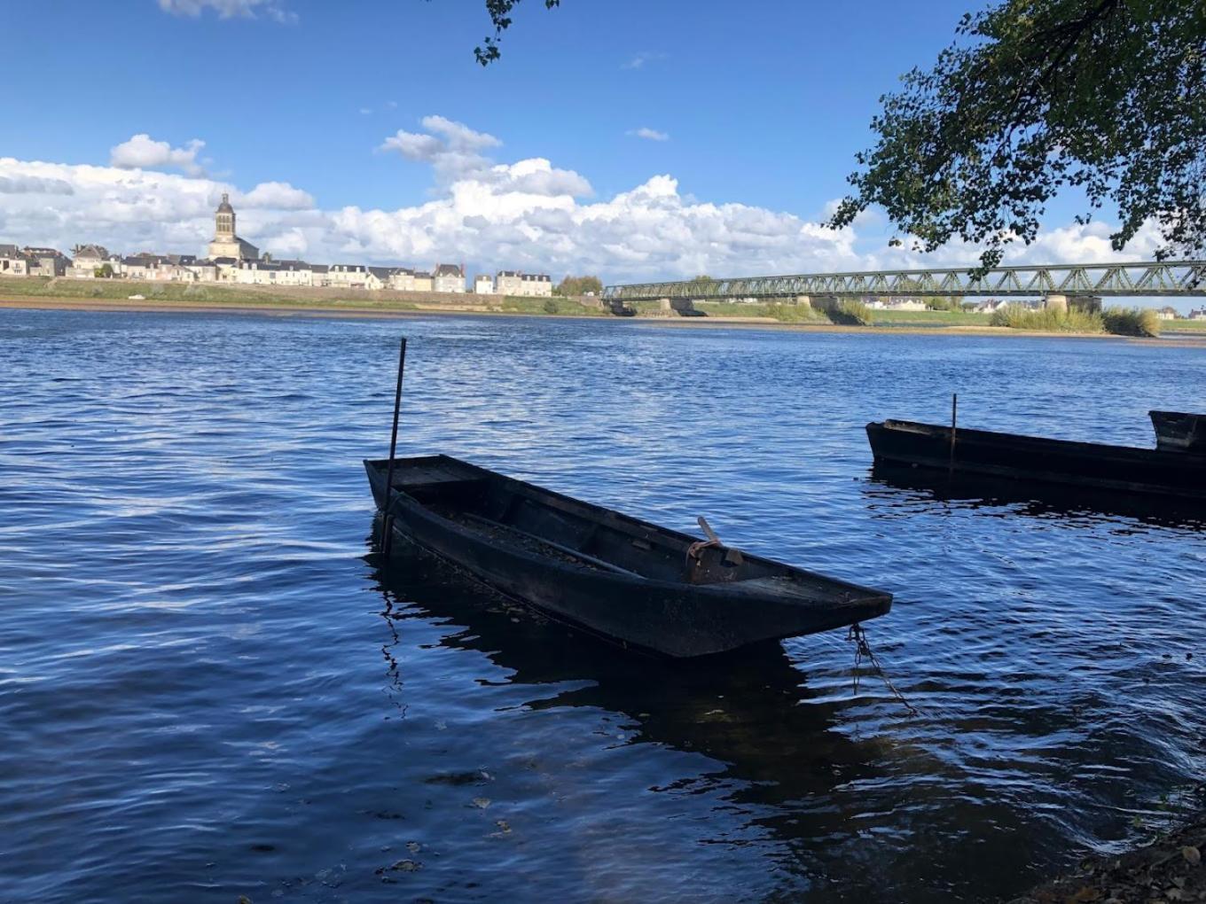 Chambres D'Hotes Bord De Loire Saint-Mathurin  Eksteriør billede